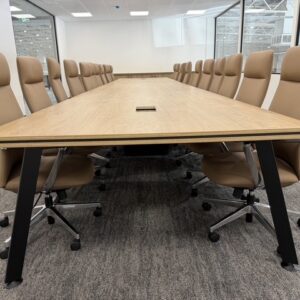Director Executive Leather Chair